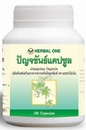 Jiaogulan (Gynostemma pentaphyllum) puissant antioxydant 100 capsules